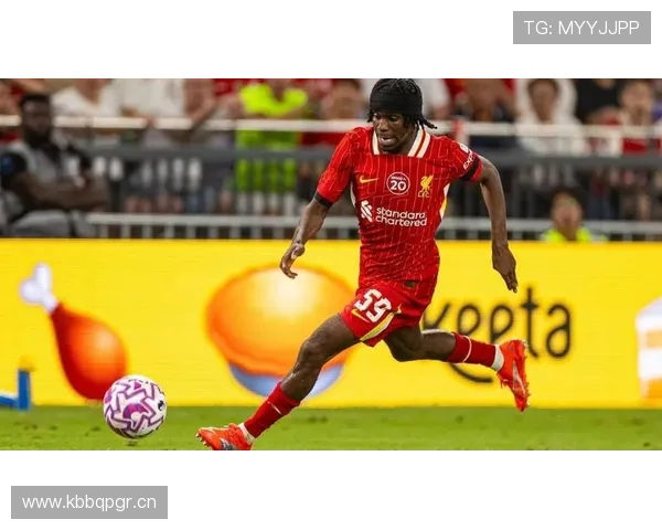 荷兰弗林蓬右路飞翼