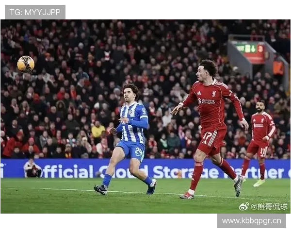 布莱顿近期对阵利物浦表现稳健，竞争力持续提升