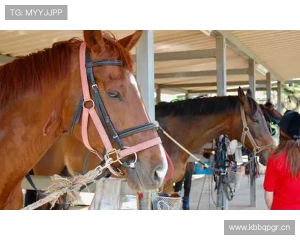富里睡醒发现自家马场又多了一匹新马，账单还没拆